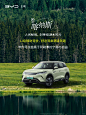 我的阿勒泰｜去新疆旅游的理由又多了一个~ - 小红书