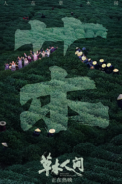 水木瓶canbeil采集到电影海报