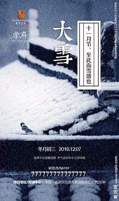 Aure_Q采集到大雪