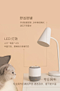 【小度XDH-01-A1】小度智能音箱 百度AI音箱 WiFi/蓝牙音箱 百度资源 儿童模式 跨级音质表现【行情 报价 价格 评测】-京东
