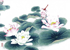 优选素材采集到古风荷花免扣素材