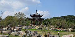 L-Lynn采集到Y传统