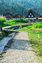 仲夏Shirakawa-go_5237751627