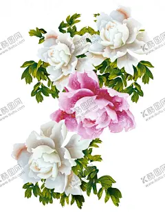 牡丹花 【酷图网】牡丹花,花,花朵花草,卡通花朵,插画图片,唯美花朵,花朵贺卡,花朵儿,花元素,免扣花素材,免扣花,手绘花朵,金色花朵,花朵背景,底纹,手绘,手绘花纹,矢量花朵,免抠花朵,彩色花,插画,艺术花,花朵叶子,花朵,叶子,花朵树叶,植物树叶,树叶花草,插画花朵,花草,花纹花草,花形