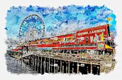 西雅图 华盛顿 城市 状态 结构 美国 城市的 自然 太平洋