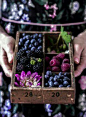 莓果类
最有名以及最天然的抗氧化剂，也就是抗老剂，是对女人最好的水果之一。