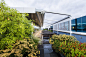 Pentana Solutions 屋顶花园，澳大利亚墨尔本 / Ian Barker Gardens : 古灵精怪的自然休憩空间。