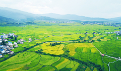 ***一采集到场景---森林