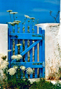 Blue Gate(BF2A6)