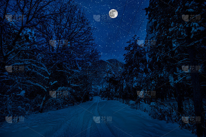 月圆之夜，山路穿过雪原森林。冬季夜晚，深蓝色的天空点缀着月亮和星星