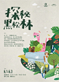 黑松林探秘kt板_画板 1