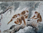 民国时期京津画派著名花鸟画家◆颜伯龙（1944年绘）《老松群猴圖》。,花鸟国画原作,畜兽画原画,水墨/写意画法,民国,其他尺寸,未装裱,宣纸_第4张_七七八八花鸟画收藏