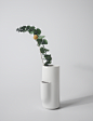 coe vase design : vase design