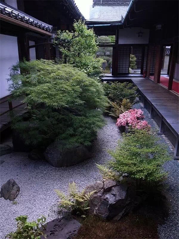 日式庭院 ​​​​