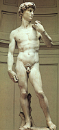 米开朗基罗的  大卫雕塑