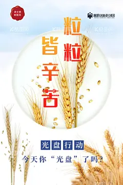 粒粒皆辛苦  - 源文件下载【酷图网】珍惜粮食,光盘行动海报,节约粮食,你光盘了吗,杜绝浪费
