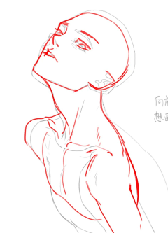MARISOLSTAR采集到人体