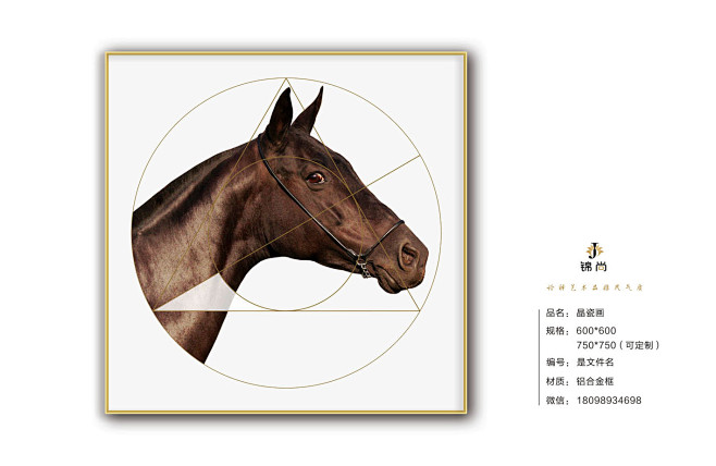 轻奢  (6646)