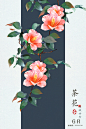 茶花_明城世雪__插画师作品_涂鸦王国gracg.com