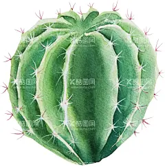 手绘仙人掌  - 源文件下载【酷图网】卡通仙人掌,可爱仙人掌,仙人掌,仙人掌素材,仙人掌插画,仙人掌盆栽,可爱卡通,手绘仙人掌,矢量仙人掌,DIY贴图,卡通DIY,卡通,矢量,卡通贴图,卡通贴纸,手绘素材,手绘墙贴,家纺图案,仙人球,矢量植物,多肉植物,儿童绘本,植物插画,卡通漫画,卡通设计,T恤图案,T恤,家纺