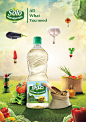 Solo Cooking Oil : cooking oil attracts Food