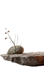 植物通用实景简约花朵展台背景场景