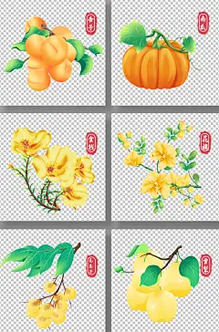 水彩杏子南瓜无患花雪梨秋季植物花卉元素插画