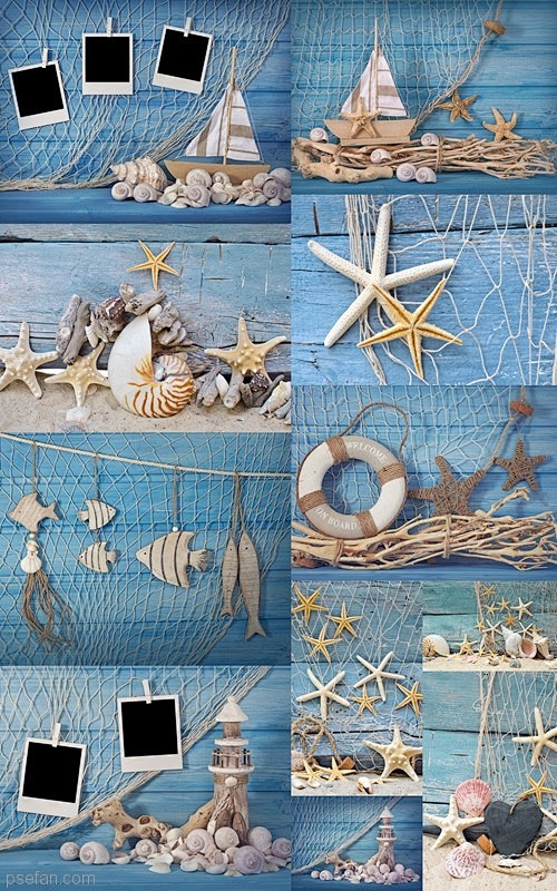 海洋生物装饰和照片墙 11JPG