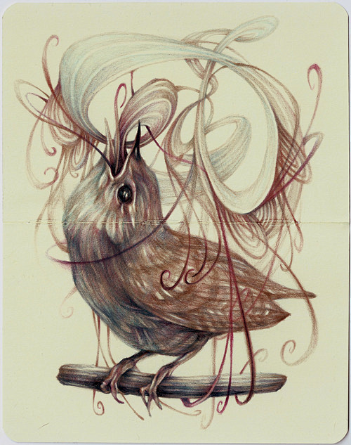 插画 彩铅 Marco Mazzoni