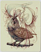 插画 彩铅 Marco Mazzoni