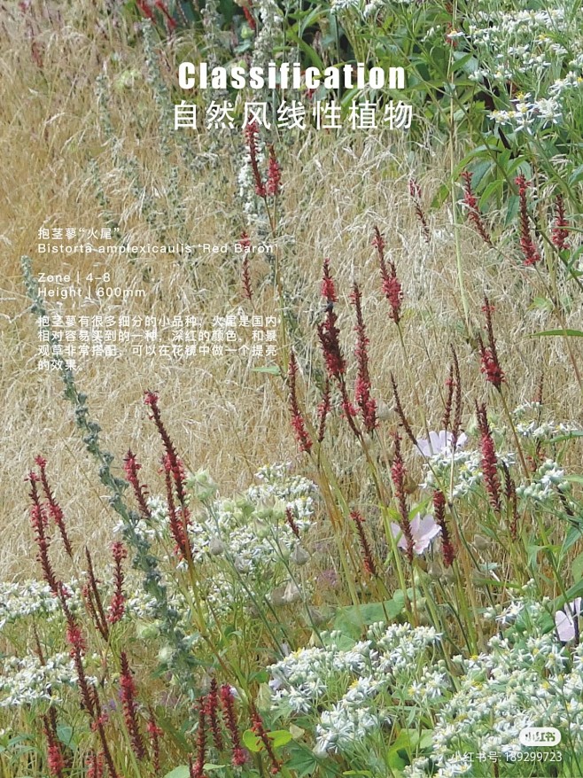 来自分享