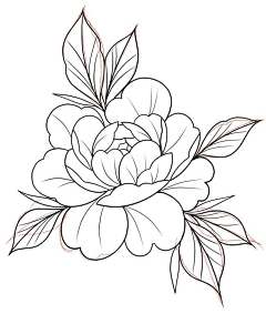 啾咪CJ采集到Sketch临摹-线稿