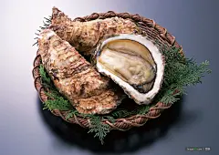 生蚝