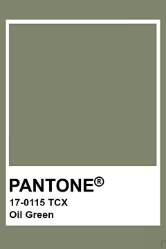 残酷、的现实采集到潘通(PANTONE)
