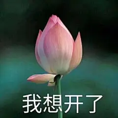 你想开了表情包荷花的搜索结果_百度图片搜索