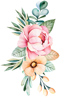 lyaxuan采集到花卉