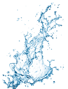 一只蘑菇头采集到雨水