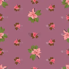 无缝的花卉图案。木兰的花和叶异国情调。矢量设计。纹理。夏季和春天。适合背景，纹理，织物，纺织品，壁纸