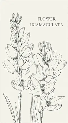 花草 - 高清图片，堆糖，美图壁纸兴趣社区