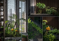 小刘同学612采集到FW｜植物种植