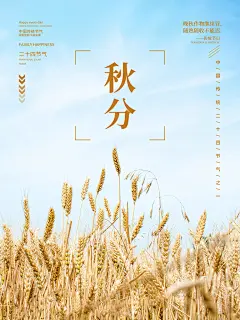 传统二十四节气秋分宣传海报插画
