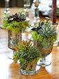 flower pots and basket ideas :)