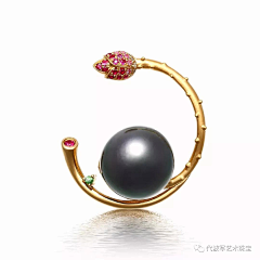 Apiao飘飘采集到胸针