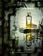 Perfume Shrine: Hermes Le Jardin de Monsieur Li: new fragrance