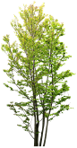 TH_092BP