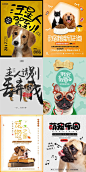 14张萌宠之家猫狗宠物寄养医院流浪动物呆萌可爱时尚海报PSD素材模版
