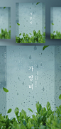 清新绿色 雨后绿叶 怡人绿植 节气主题海报PSD_平面设计_海报
