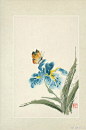 集
