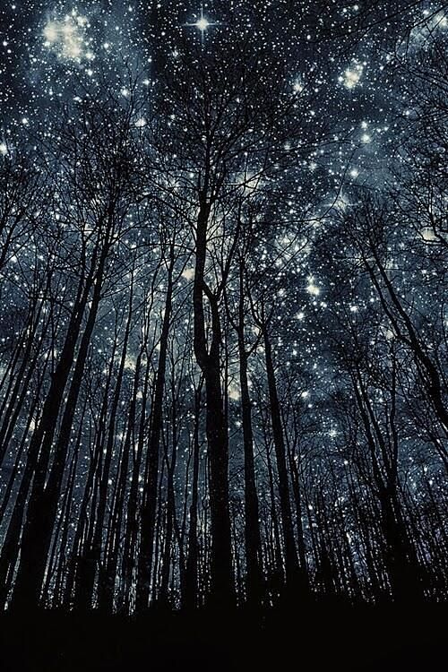 November 18: star-cr...