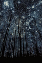November 18: star-crossed STAHR-krawst, -krost , adjective; 1. thwarted or opposed by the stars; ill-fated: star-crossed lovers: 